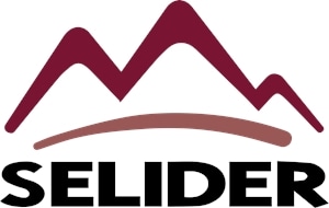 Selider Logo PNG Vector