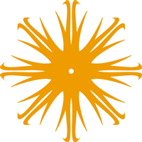 SHAPE DESIGN Logo PNG Vector