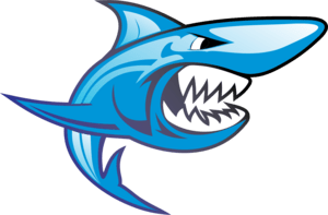 Shark Logo PNG Vector