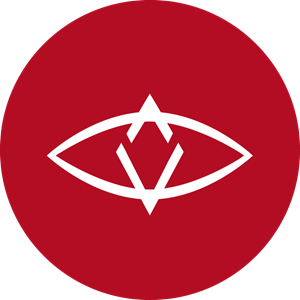 SingularDTV (SNGLS) Logo Vector