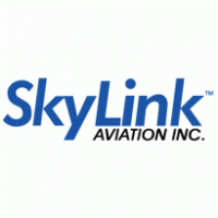 SkyLink Logo PNG Vector