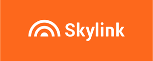 Skylink Logo PNG Vector