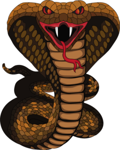 Snake Boss Logo PNG Vector
