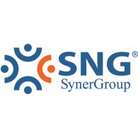 SNG SynerGroup Logo PNG Vector