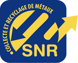 SNR Logo PNG Vector