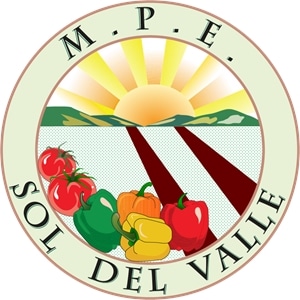 Sol del Valle Logo PNG Vector