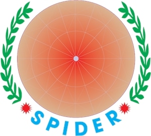 Spider Logo PNG Vector
