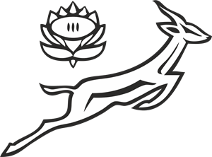 Springbok Logo PNG Vector