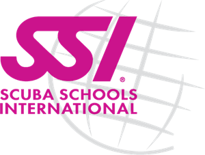 SSI Logo Vector