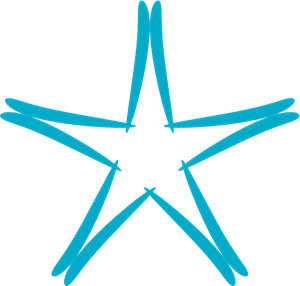 STAR GRAPHIC DESIGN ELEMENT Logo PNG Vector