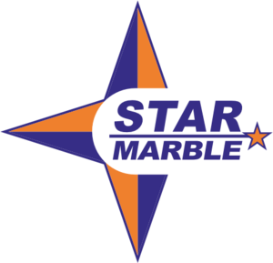 Star Marble Logo PNG Vector