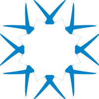 STAR SHAPE Logo PNG Vector