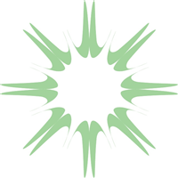STAR SHAPE POLYGON Logo Vector