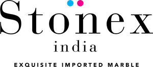 Stonex India Logo PNG Vector