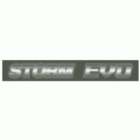 Storm Evo Logo Vector