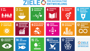 Sustainable Development Goals Logo PNG Vector