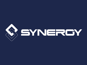 Synergy Logo PNG Vector