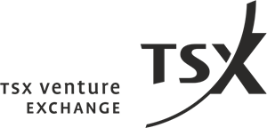 TSX Venture Exchange Logo Vector