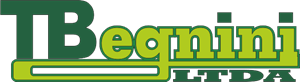 T Beguini Logo PNG Vector