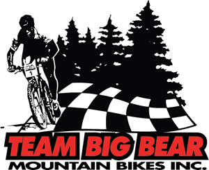 Team Big Bear Logo Vector