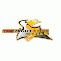 The Night Race Schladming Logo Vector