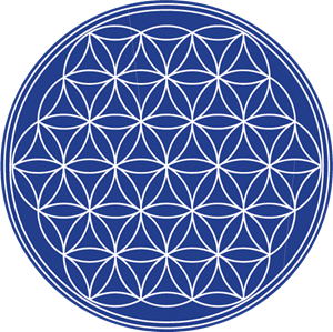 The flower of life Logo PNG Vector
