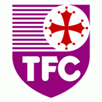 Toulouse Logo Vector