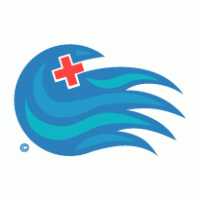 Tsunami Relief Fund Logo Vector