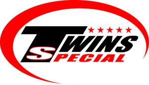 Twins Special Logo PNG Vector