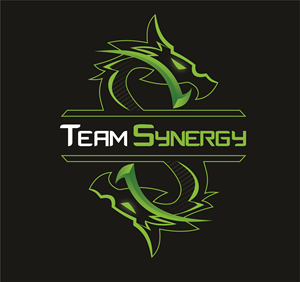 team synergy Logo PNG Vector