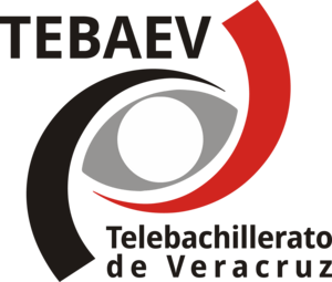 Tebaev Logo PNG Vector