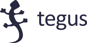 Tegus Logo PNG Vector