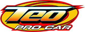 Teo Pro Car Logo PNG Vector