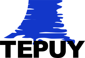 Tepuy Films 1995 Logo PNG Vector