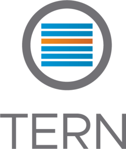 Tern Logo PNG Vector