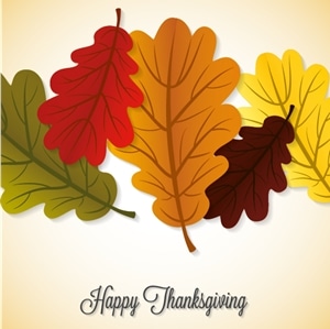 thanksgiving maple leaf Logo Vector