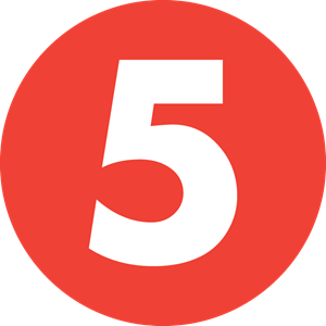 The 5 Network Logo PNG Vector