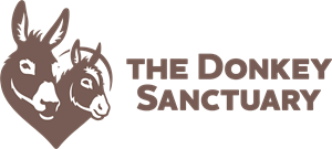 The Donkey Sanctuary Logo Vector