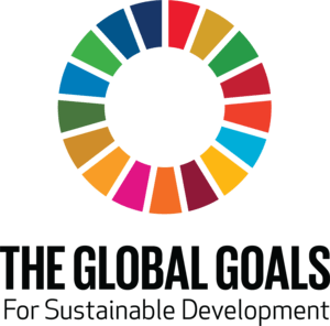 The Global Goals For Sustainable Development Logo PNG Vector