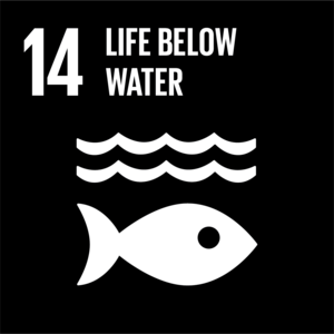 The Global Goals Life Below Water Logo PNG Vector