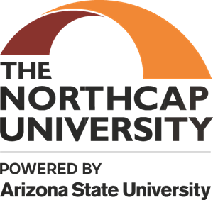 The Northcap University Logo Vector