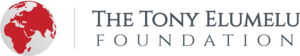 The Tony Elumelu Foundation Logo PNG Vector