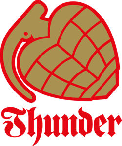 Thunder Skate Logo PNG Vector