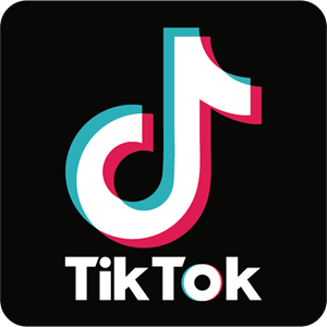TIK TOK Logo Vector