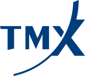 TMX Group Logo Vector