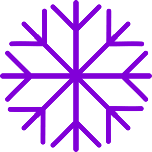 Tor Snowflake Logo PNG Vector