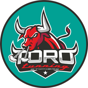 toro tunning Logo Vector