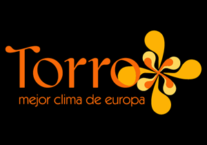 Torrox Logo PNG Vector