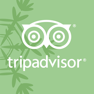 tripadvisor Logo PNG Vector