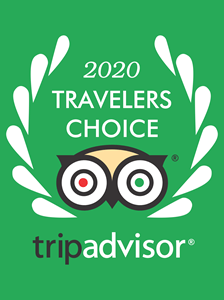 tripadvisor TRAVELERS CHOICE 2020 Logo Vector